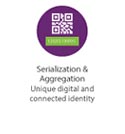 Serialization & Aggregation